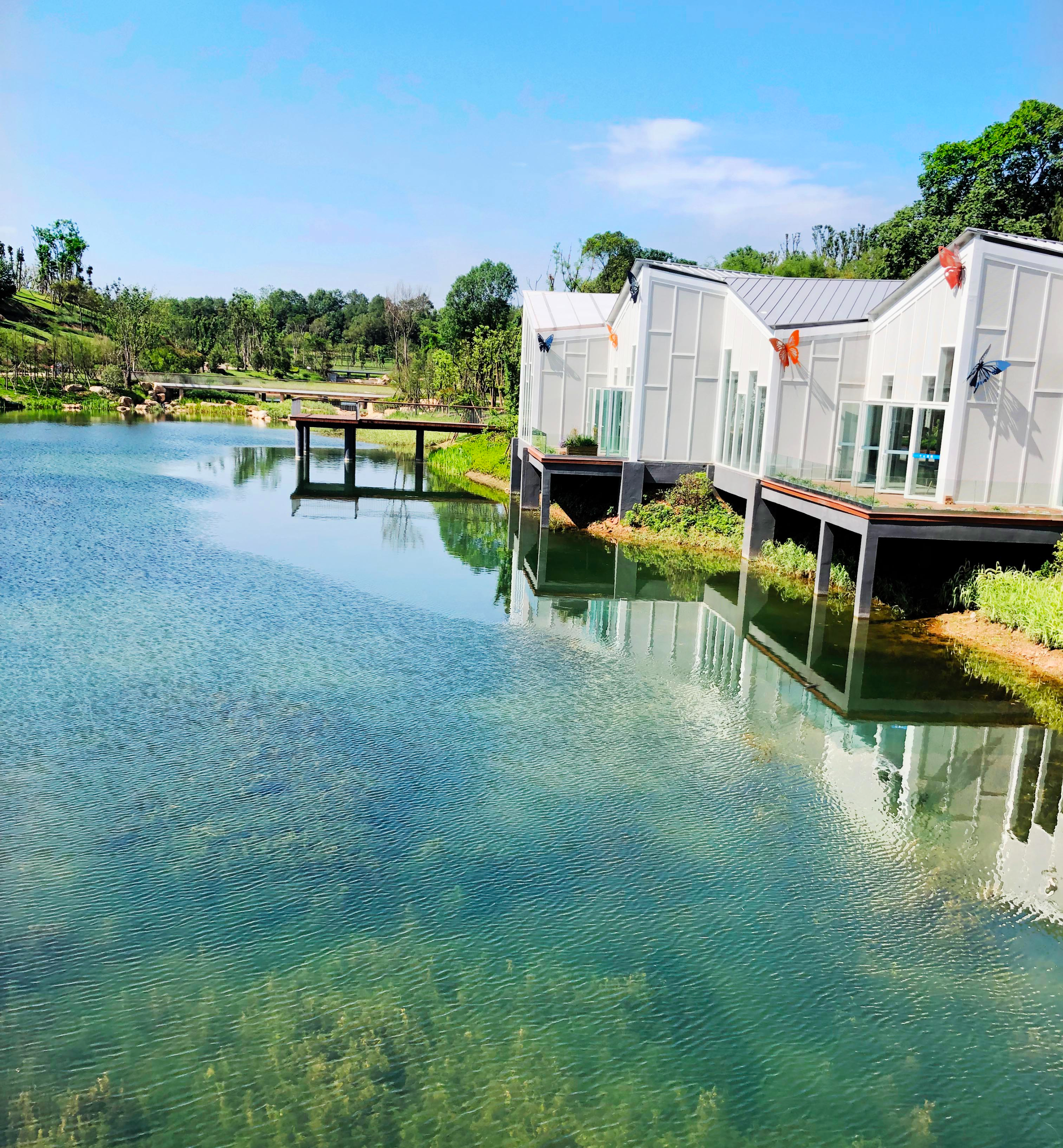 淮州新城楊溪湖濕地公園示范段